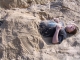 Buried