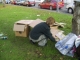Tidying