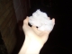 Snow!