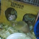 mice