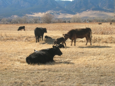 DSCN2047.JPG