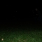 DSCN0571.JPG