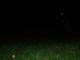 DSCN0571.JPG