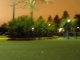 DSCN0585.JPG