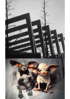 Diptych 2: DOG LIFE