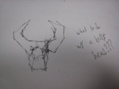 What to do w/ a bull's head?