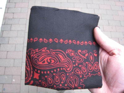 I bought a new bandanna