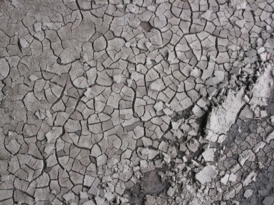 Small object- Cracked Mud