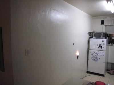Blank Canvas (my kitchen wall)