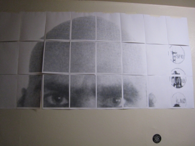 Three rows- eyes appear