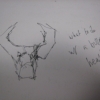 What to do w/ a bull's head?