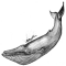 Blue Whale