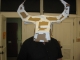 Cardboard and duct tape