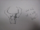 What to do w/ a bull's head?