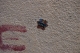 DSC_0771.JPG DSC_0771.JPG