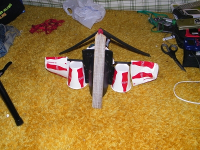 flower alter- rear view