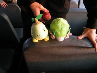shaymin and turtwig shaymin and turtwig