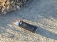 lighter