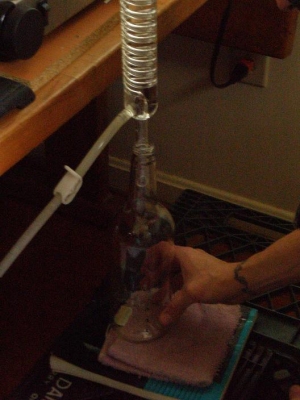 bottle.JPG