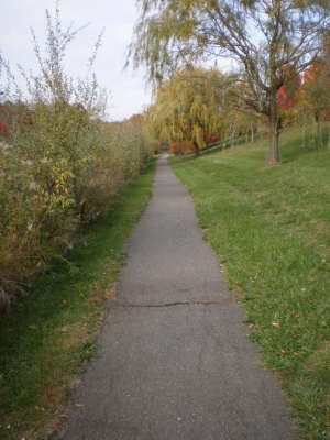 path_with_no_ducks.JPG