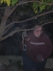 hanging_the_feeder.JPG