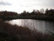 storm_drain_no_ducks.JPG