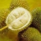 durian.jpg