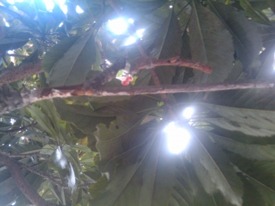 2010-10-01 16.24.40.jpg