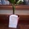 2010-10-05 13.30.30.jpg