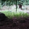 DSC09199.JPG