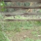 DSC09204.JPG