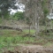 DSC09206.JPG