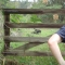 DSC09207.JPG