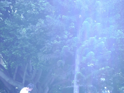 DSC00781.JPG