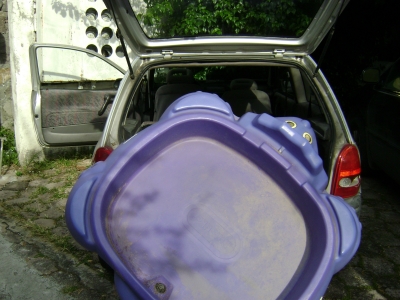 Not through the hatchback either