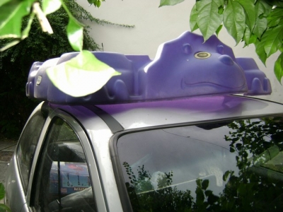 All right, there. Brontosaur on the roof.