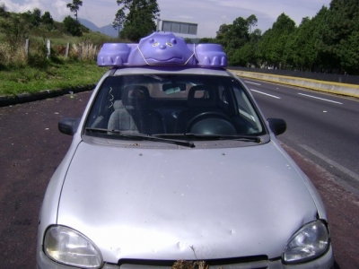 On the road, bravely holding on