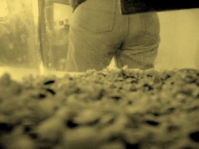 PMDW-13.jpg