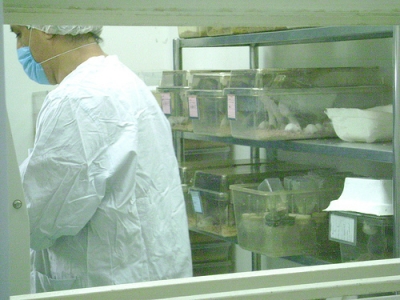 PMDW-3.jpg