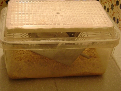 PMDW-9.jpg