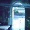 DSC00874.JPG