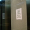 DSC01360.JPG