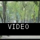 CasaCodigoAbierto.wmv