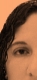 DSC00699.JPG