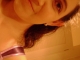 DSC00772-1.JPG