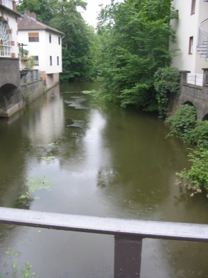 What's this? Part of the circulatory system?