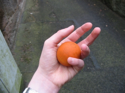 I find an impulse rolling along.