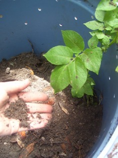 plants need tending 3.