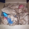containing much paper