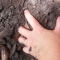 to claw at the earth.JPG